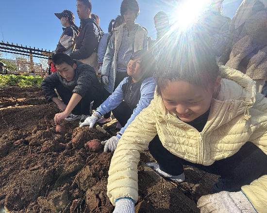 图片2.png 图片2.png