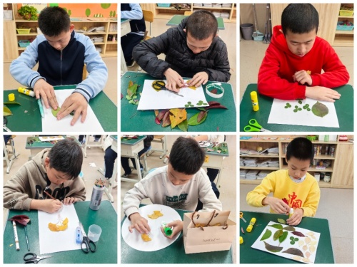 Collage_20260120_150903.jpg Collage_20260120_150903.jpg