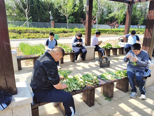 IMG_20260511_090615_副本.jpg